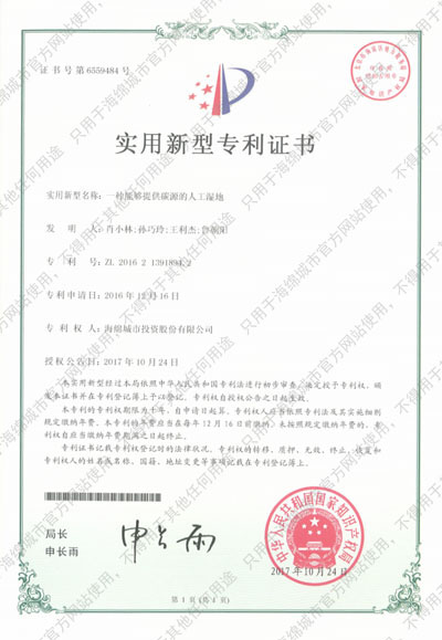 一种能够提供碳源的人工湿地 