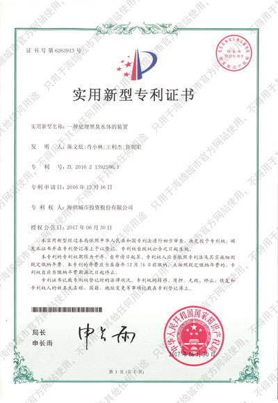 一种处理黑臭水体的装置