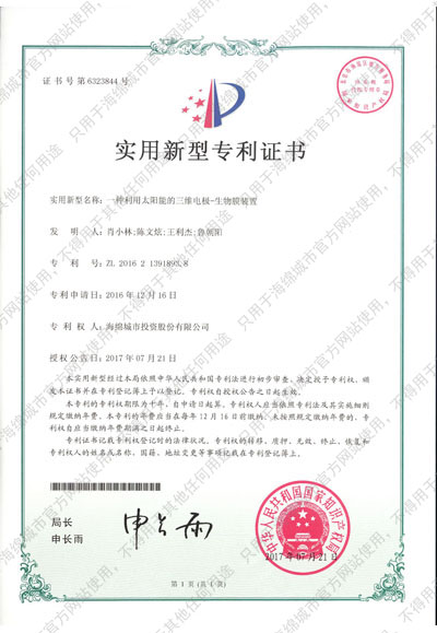 一种利用太阳能的三维电极—生物膜装置