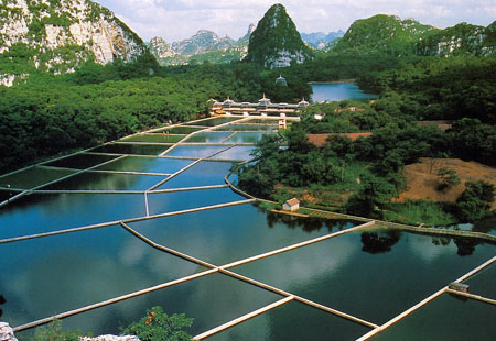 生态河道治理